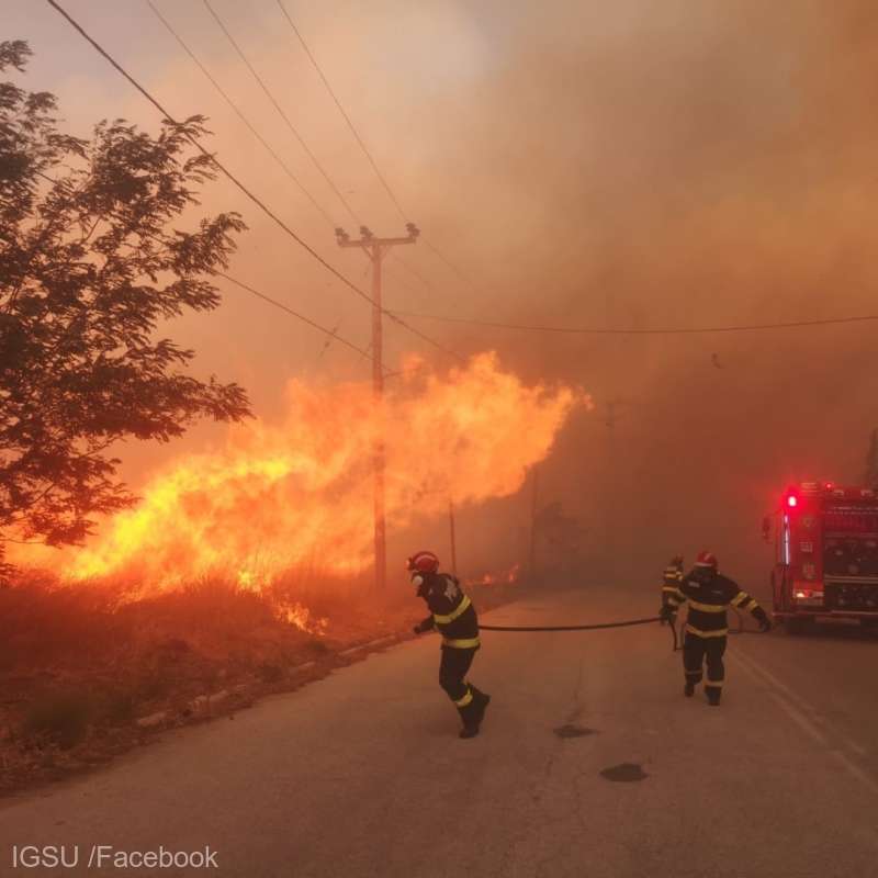 Incendiu violent în Timișoara: Fermele Smithfield, în flăcări