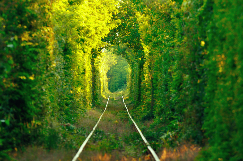 Tunelul verde al iubirii