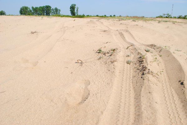 Cum vrea statul să dea lovitura cu terenurile nisipoase din Oltenia. Afacerea momentului