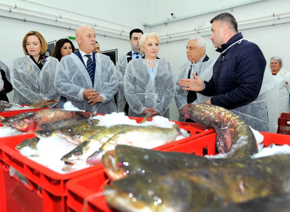Să fie Bursa de pește de la Tulcea următorul obiectiv al ministrului Petre Daea?