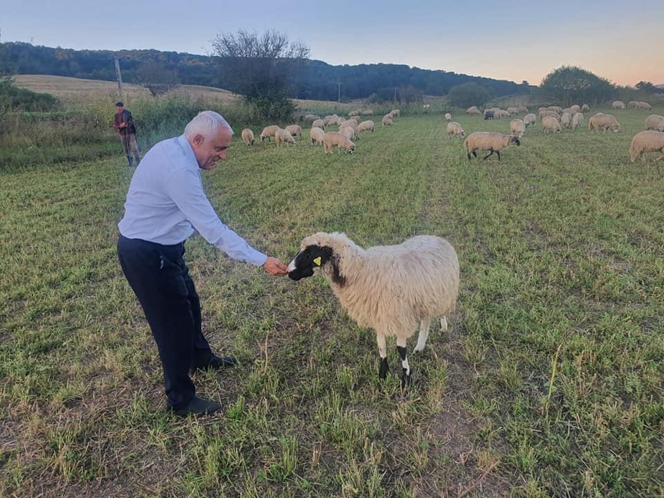 Petre Daea a girat jecmănirea fermierilor. Cea mai scumpă iarbă din România este în Prahova