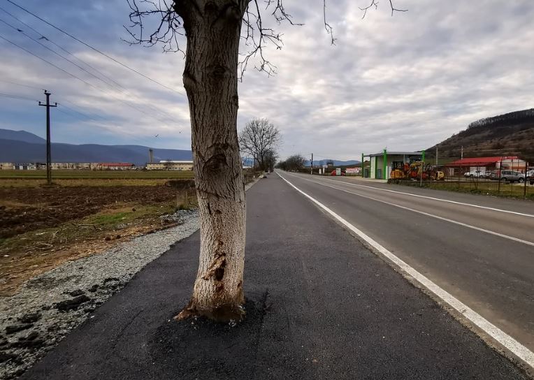 Șosea asfaltată cu tot cu copaci, în Hunedoara