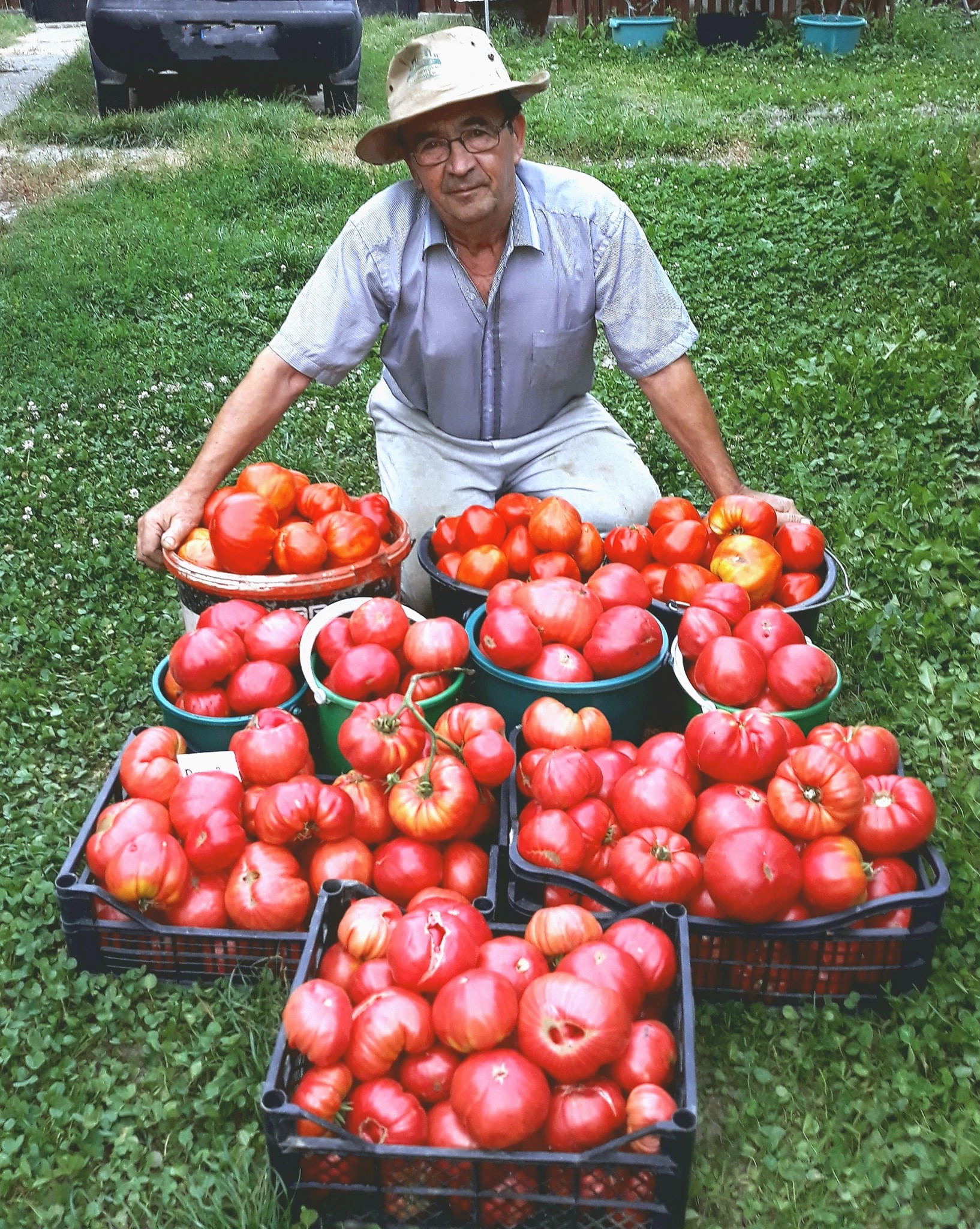 Vali Cucu, grădinarul care a salvat roșiile uriașe românești în urmă cu peste 30 ani, a murit