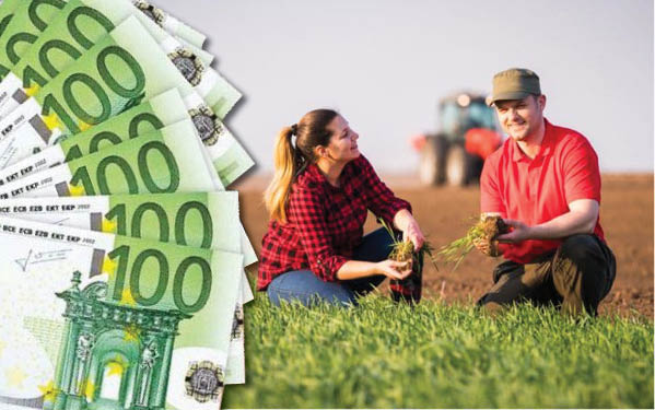 O nouă subvenție APIA pentru tinerii fermieri