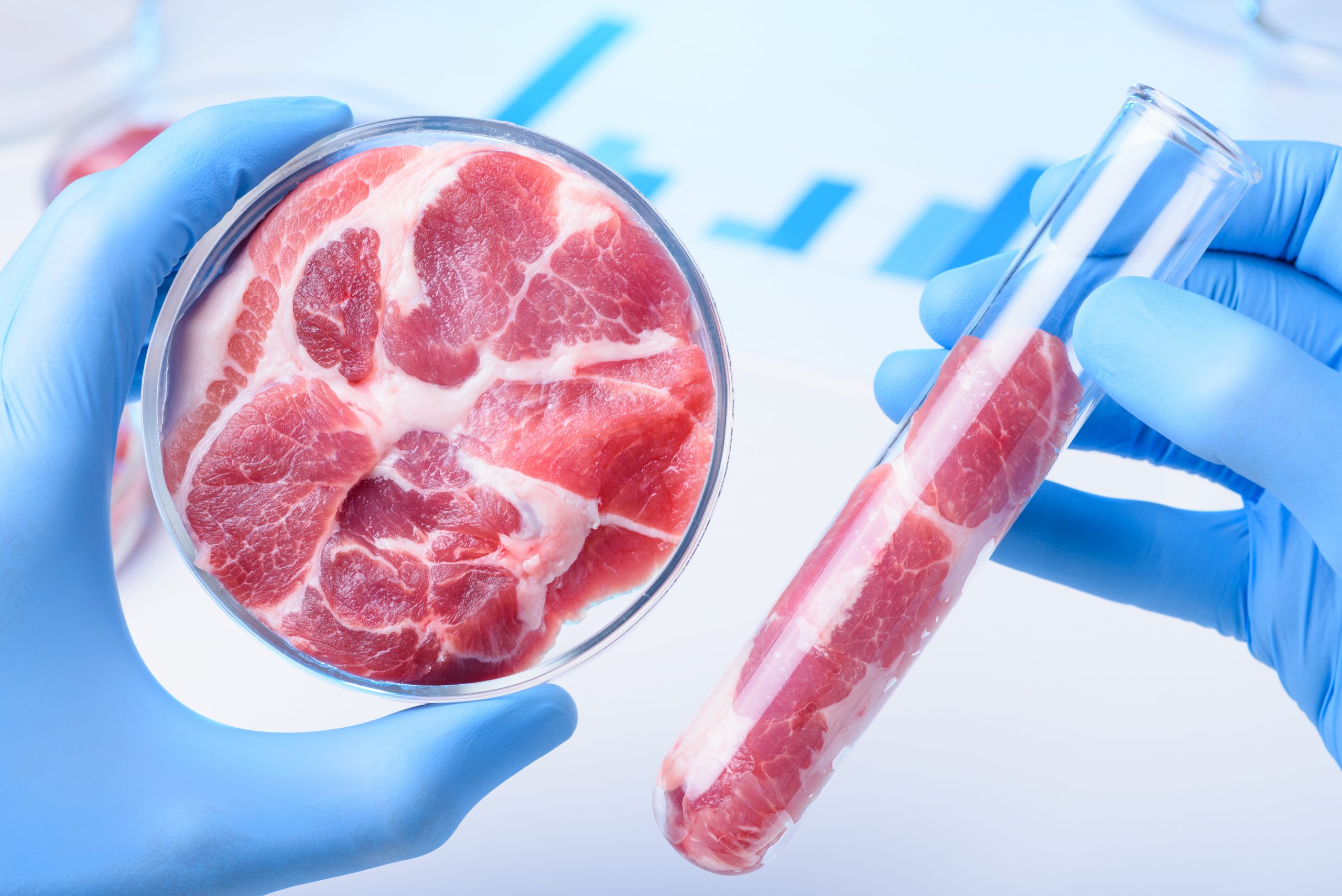 Carnea de sinteză, ”mâncare Frankenstein”, în dezbaterea Parlamentului italian