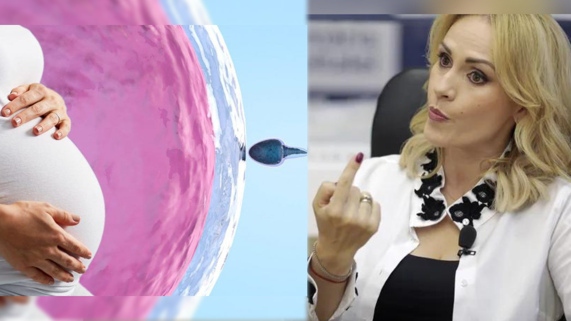 Firea a tocat 9.000.000 de euro de la Primărie pentru fertilizări in vitro