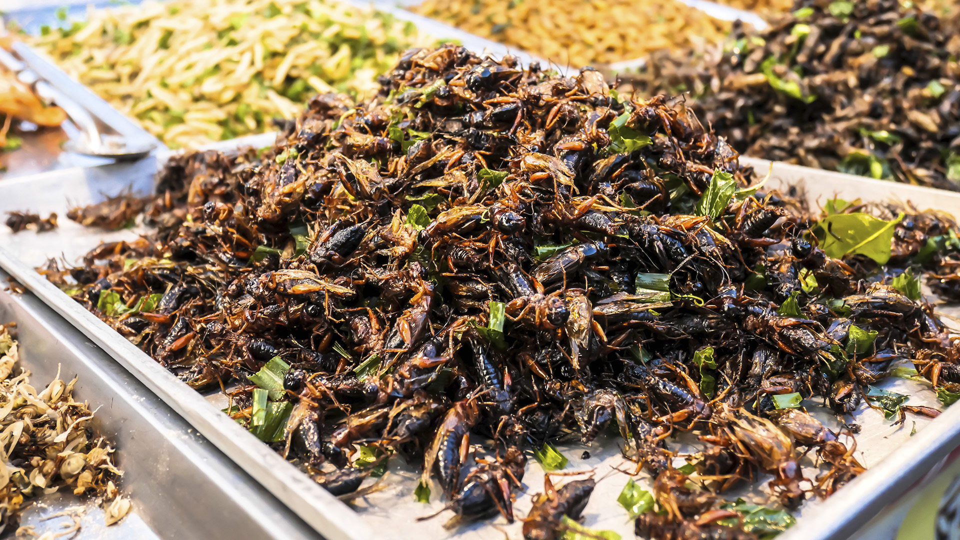 Ungaria pregătește piața pentru alimentele pe bază de insecte