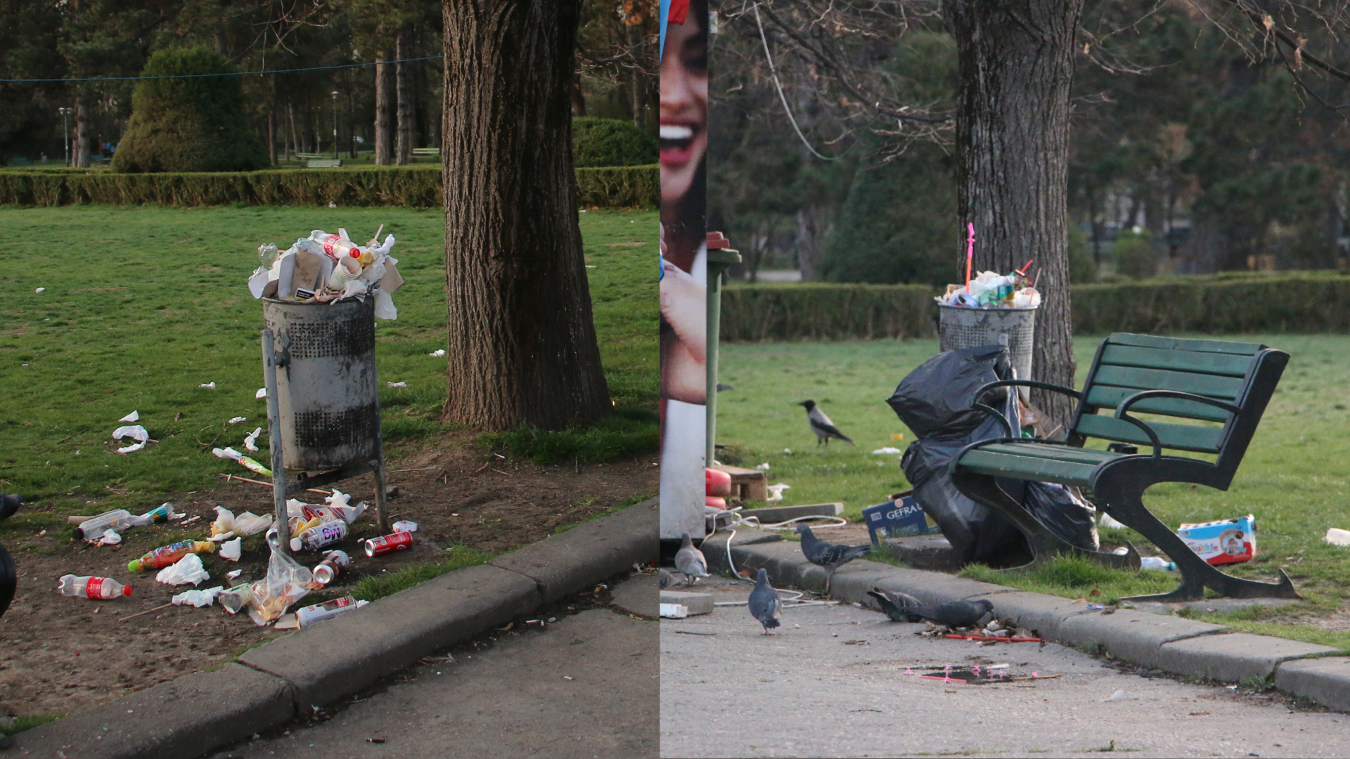 Groapa de gunoi „Parcul Herăstrău”. Gunoaiele sunt peste tot, iar mirosul insuportabil