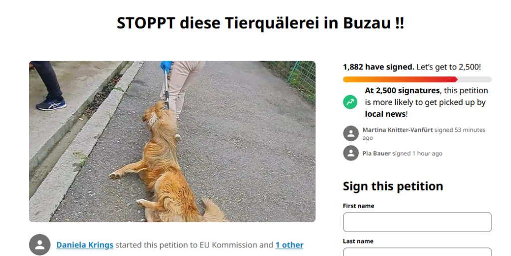 Situația maidanezilor din Buzău în atenția publicului din Germania: „Dați-i afară din UE”