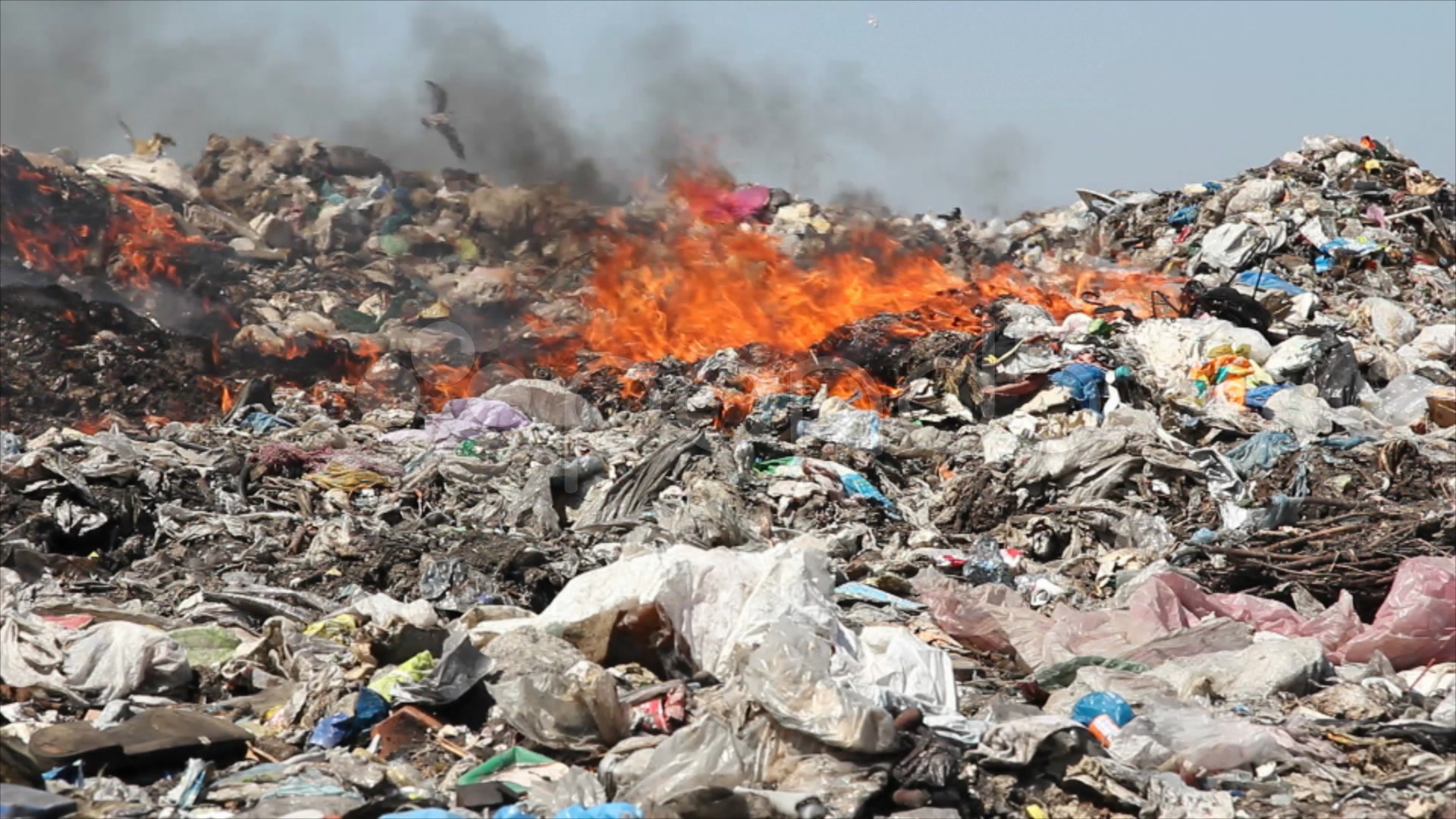 Descinderi de amploare la mafia deșeurilor din Dâmbovița
