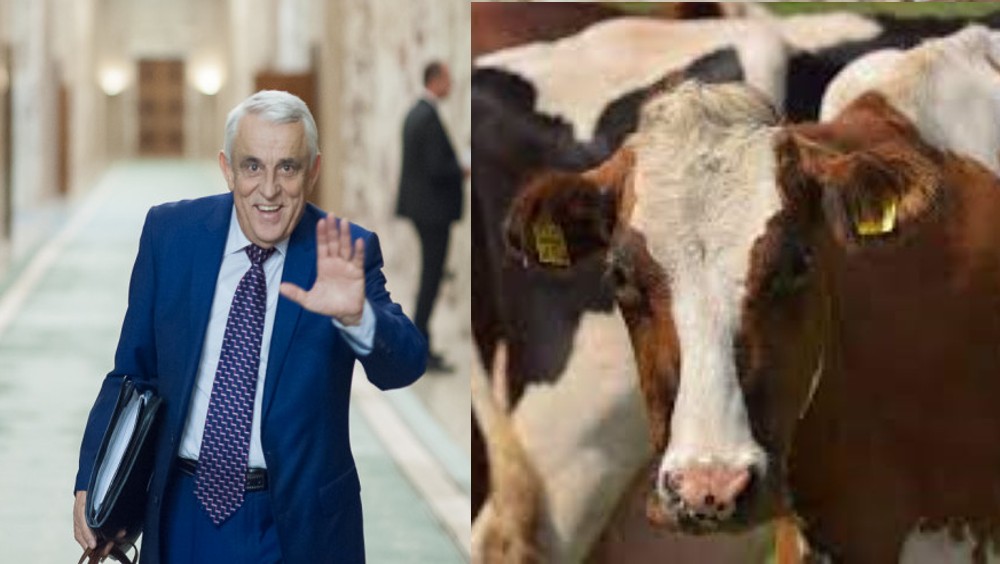 <strong>Crescător de vaci: Ne-am cam săturat noi, fermierii, să ne milogim și să ne tot cerem drepturile</strong>