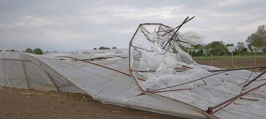 Vântul a distrus mai multe solarii în Glodeanu Sărat. Oamenii cer ajutorul autorităților. EXCLUSIV