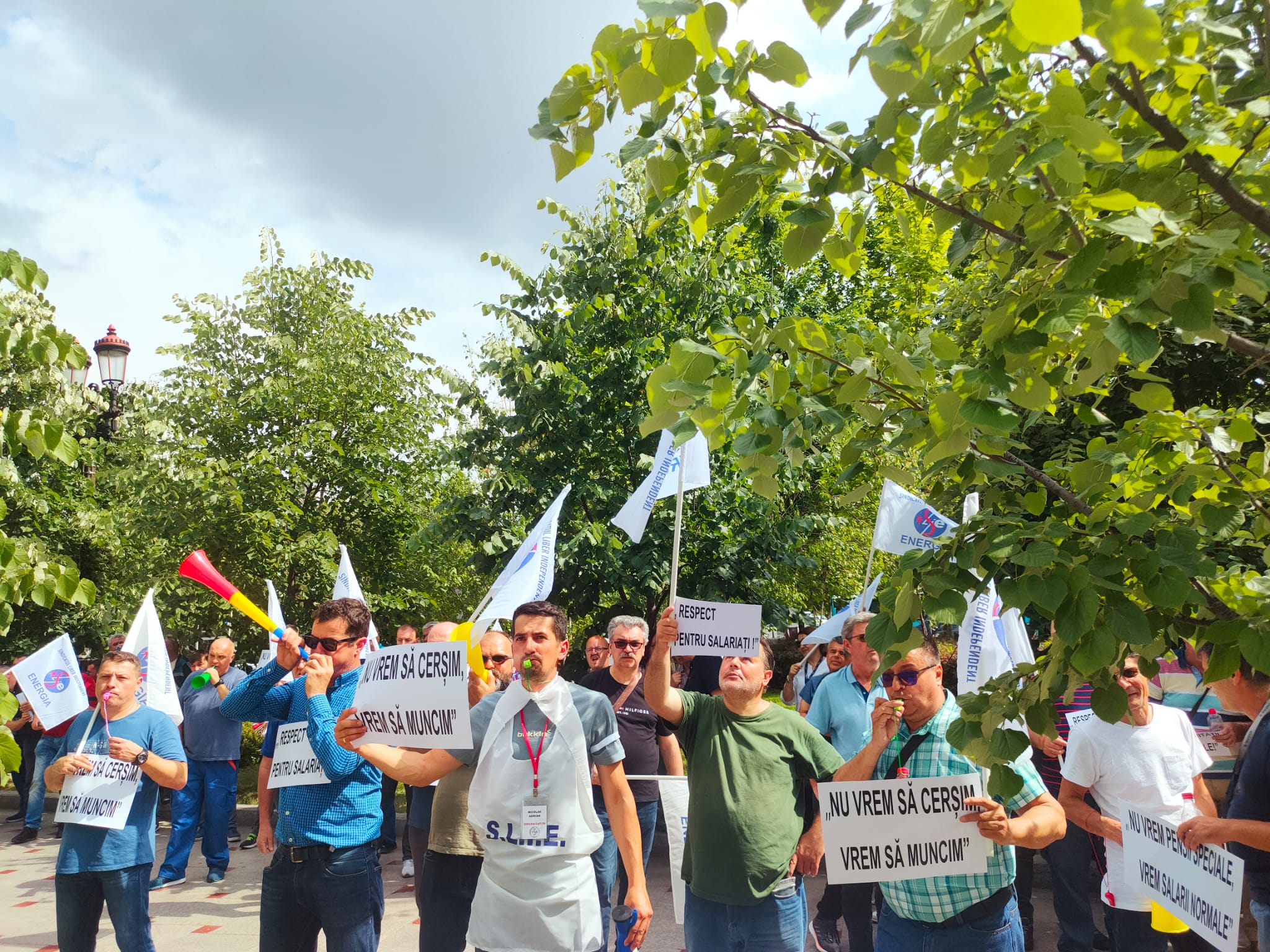 Angajaţii ENEL au ieşit în stradă din cauza salariilor