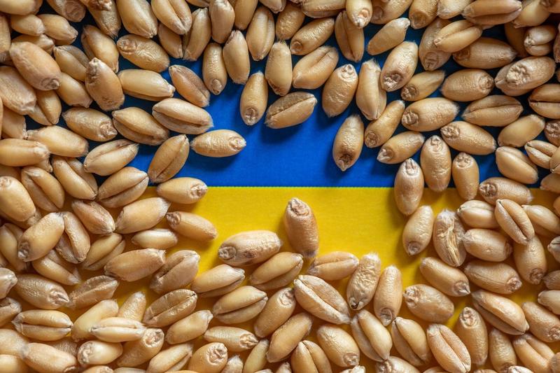 România ia în calcul să prelungească interdicţia la importul de cereale ucrainene