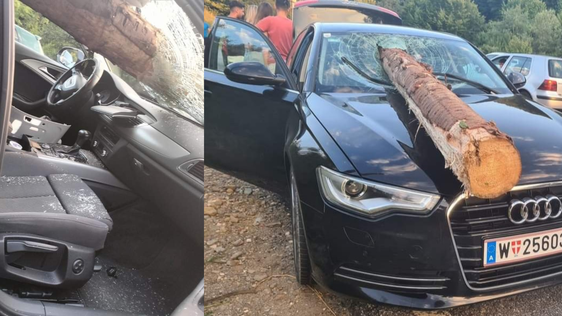 Mafia lemnului din Buzău și Covasna face victime: GRAV accident pe DN10