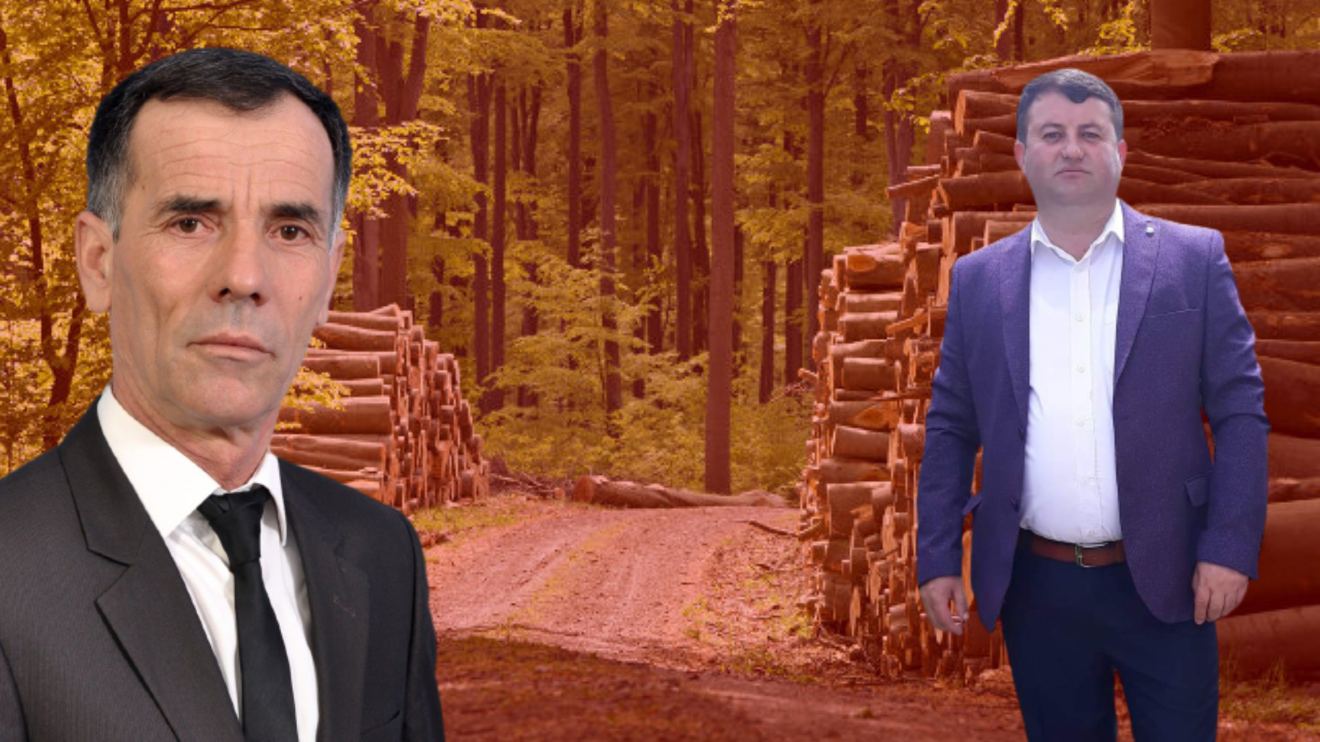 Tranzacție dubioasă cu lemn între primarii PSD din Buzău