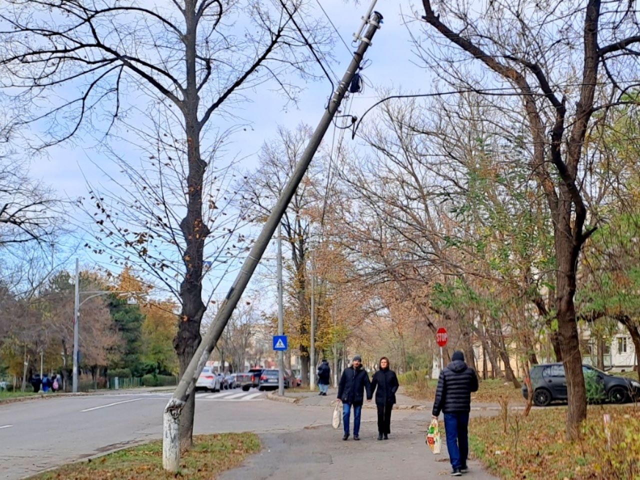 Gălățenii, în pericol să fie striviți pe trotuare de stâlpii și copacii rupți de viscolul de acum 10 zile